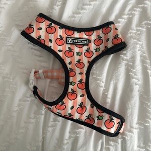 Frenchie bulldog harness